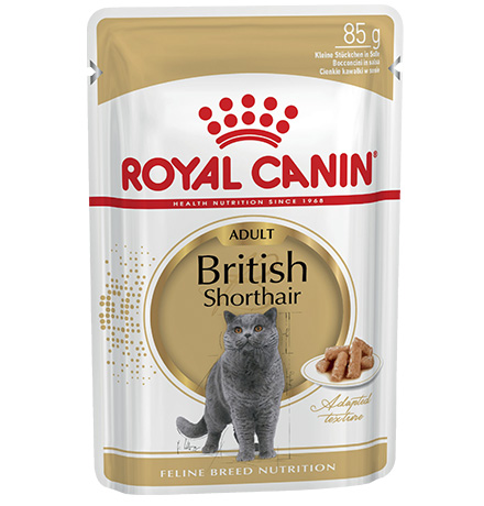 Royal Canin Breed cat British Shorthair / Влажный корм (Консервы-Паучи) Роял Канин для кошек породы Британская короткошерстная, Royal Canin Breed cat British Shorthair
Royal Canin Breed cat British Shorthair / Влажный корм (Консервы-Паучи) Роял Канин для кошек породы Британская короткошерстная, Royal Canin Breed cat British Shorthair