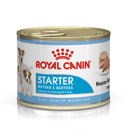 Royal Canin Starter Mousse Mother&Babydog Canin / Влажный корм (Консервы) Роял Канин Стартер Мусс для Щенков в возрасте до 2 месяцев и для беременных или кормящих собак (Цена за упаковку), Royal Canin Starter Mousse Mother&Babydog Canin
Royal Canin Starter Mousse Mother&Babydog Canin / Влажный корм (Консервы) Роял Канин Стартер Мусс для Щенков в возрасте до 2 месяцев и для беременных или кормящих собак (Цена за упаковку), Royal Canin Starter Mousse Mother&Babydog Canin