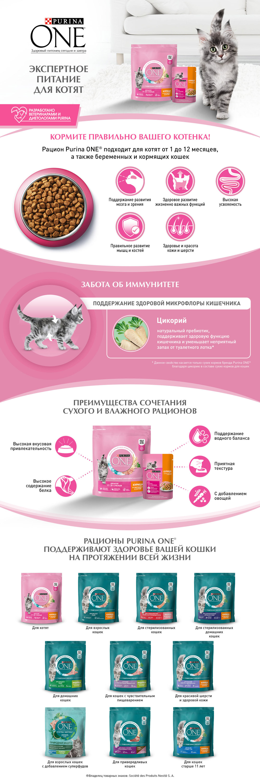 PURINA ONE KITTEN / Сухой корм Пурина УАН для котят с курицей 750 г купить  в Москве по низкой цене 470₽ | интернет-магазин ZooMag.ru