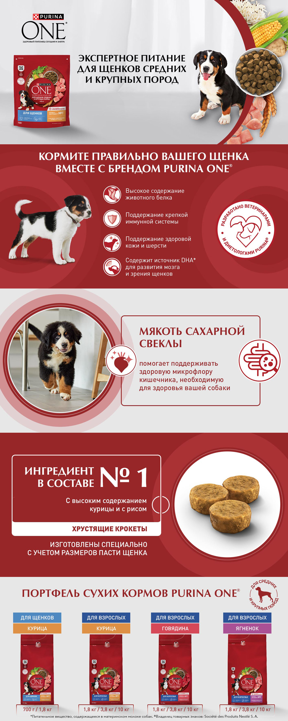 PURINA ONE PUPPY / Сухой корм Пурина УАН для щенков средних и крупных пород  с курицей 1,8 кг купить в Москве по низкой цене 810₽ | интернет-магазин  ZooMag.ru