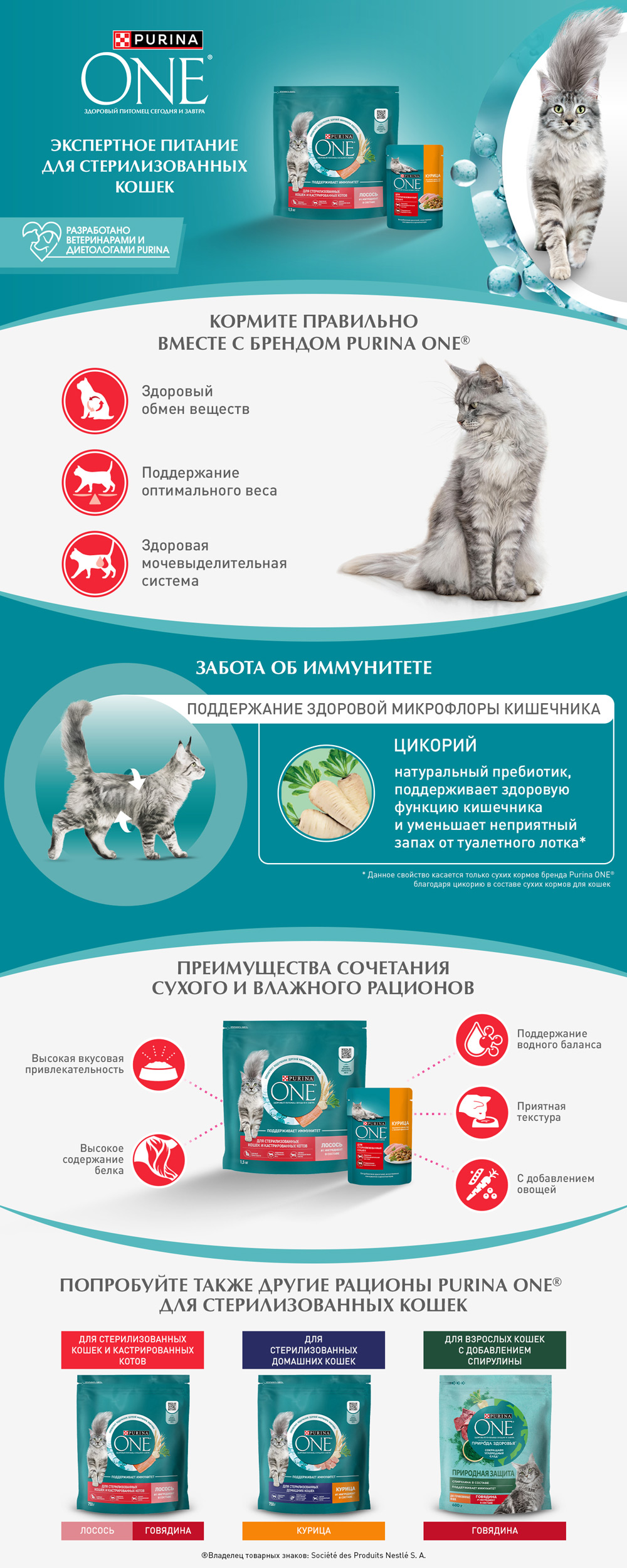 PURINA ONE STERILISED / Сухой корм Пурина УАН для взрослых стерилизованных  кошек с говядиной 3 кг купить в Москве по низкой цене 1 344₽ |  интернет-магазин ZooMag.ru