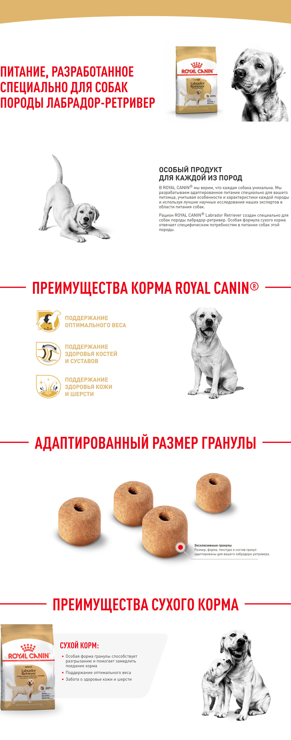 Royal Canin Breed dog Labrador Retriever Adult / Сухой корм Роял Канин для  взрослых собак породы Лабрадор старше 15 месяцев 3 кг купить в Москве по  низкой цене 2 250₽ | интернет-магазин ZooMag.ru