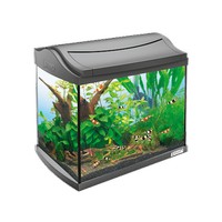

Tetra AquaArt Shrimps Discover Line аквариумный комплекс 20 л