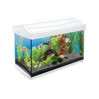 Купить Tetra AquaArt аквариумный комплекс  60 л белый за 13880.00 ₽