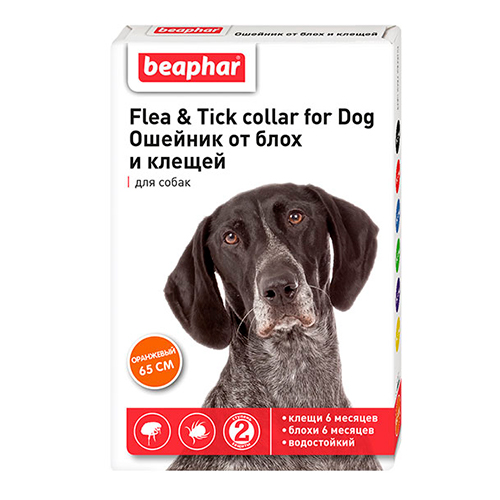 Beaphar Flea&Tick collar for Dog / Ошейник Беафар от Блох 6 месяцев и Клещей 6 месяцев для собак с 6 месяцев 65 см