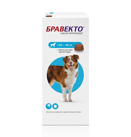Купить MSD Intervet Bravecto / Жевательная таблетка Бравекто от Блох и Клещей для собак весом 20 - 40 кг за 2380.00 ₽