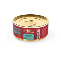 Molina / Консервы Молина для кошек Цыпленок с манго в соусе (цена за упаковку)
