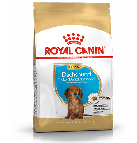 Royal Canin Breed dog Dachshund Junior / Сухой корм Роял Канин для Щенков породы Такса в возрасте от 2 до 10 месяцев
