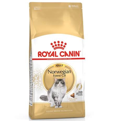 

Royal Canin Breed cat Norwegian Forest / Сухой корм Роял Канин для взрослых кошек породы Норвежская Лесная старше 1 года, Royal Canin Breed cat Norwegian Forest