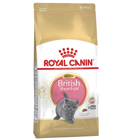 Купить Royal Canin Breed cat Kitten British Shorthair / Сухой корм Роял Канин для Котят породы Британская короткошерстная в возрасте от 4 до 12 месяцев за 470.00 ₽
