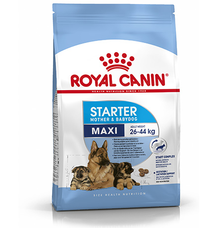 Royal Canin Maxi Starter / Сухой корм Роял Канин Макси Стартер для Щенков Крупных пород до 2 месяцев