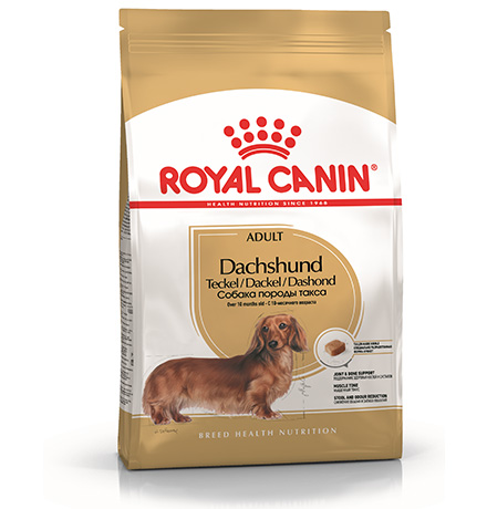 Royal Canin Breed dog Dachshund Adult / Сухой корм Роял Канин для взрослых собак породы Такса старше 10 месяцев 