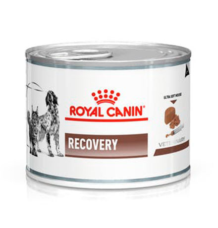 

Royal Canin Recovery Canine / Ветеринарный влажный корм (Консервы) Роял Канин Рекавери для собак и кошек Анорексия Восстановление Кормление через зонд (Цена за упаковку), Royal Canin Recovery Canine