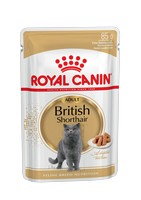 

Royal Canin Breed cat British Shorthair / Влажный корм (Консервы-Паучи) Роял Канин для кошек породы Британская короткошерстная, Royal Canin Breed cat British Shorthair